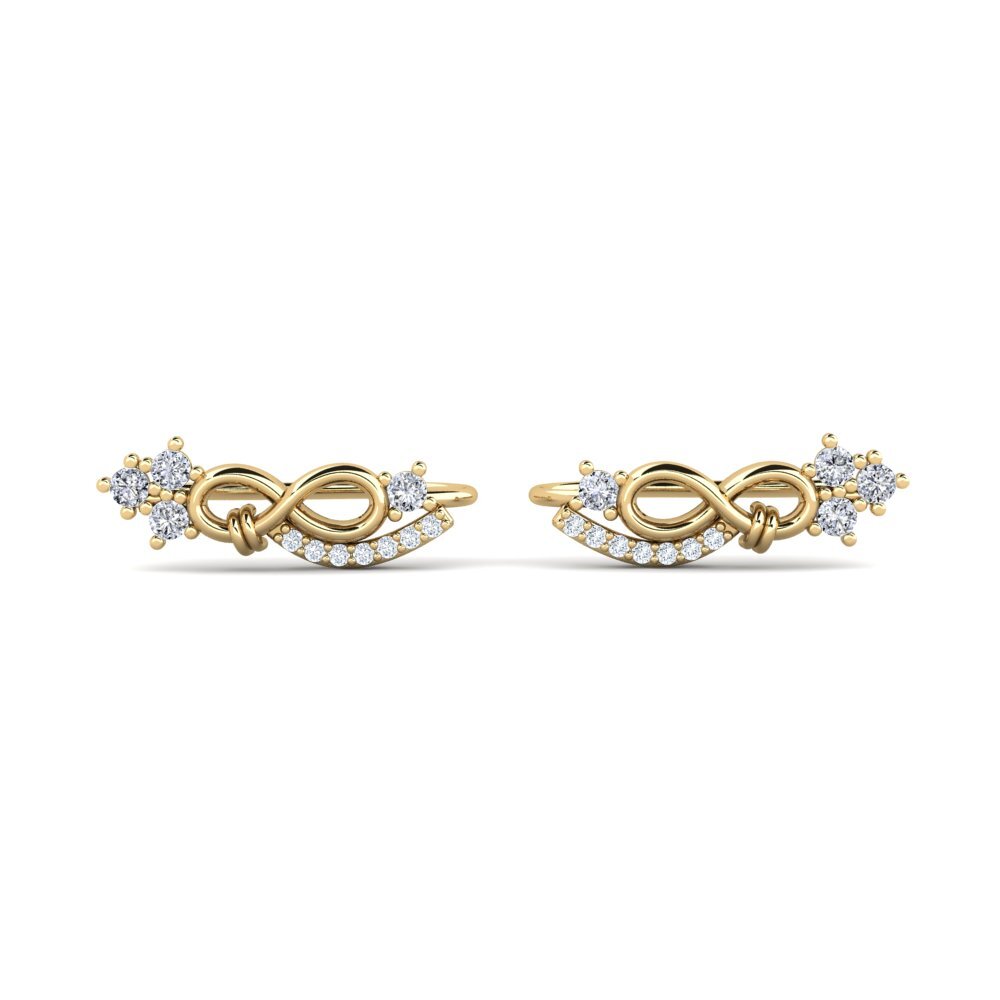 Women's Earring Aikya