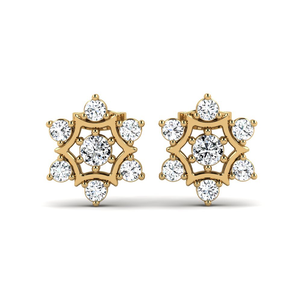 Women's Earring Appendance